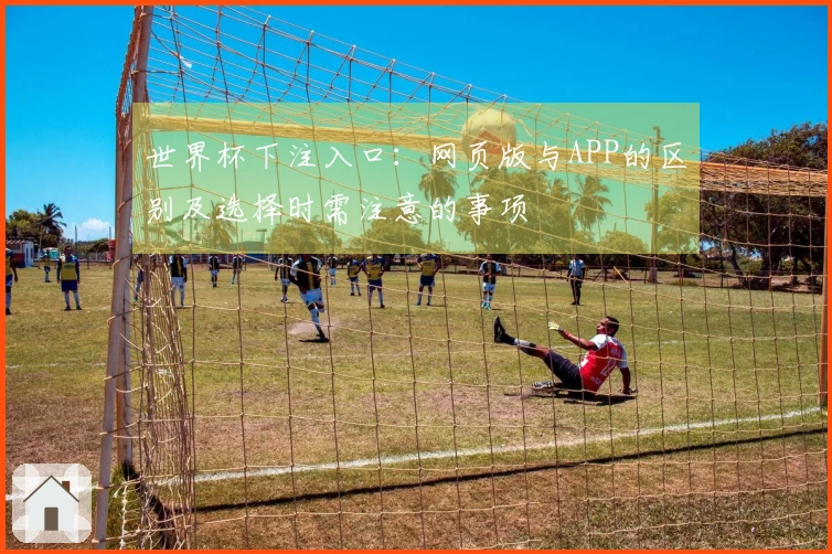 世界杯下注入口：网页版与APP的区别及选择时需注意的事项