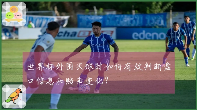 世界杯外围买球时如何有效判断盘口信息和赔率变化？