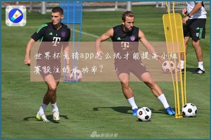 世界杯竞猜app怎么玩才能提高小组赛投注的成功率？