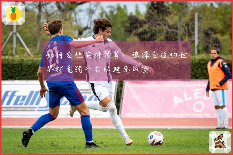 如何合理安排预算，选择合适的世界杯竞猜平台以避免风险