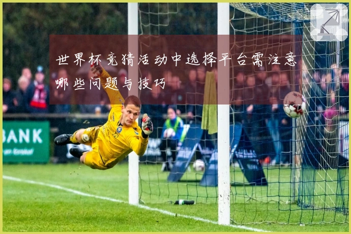 世界杯竞猜活动中选择平台需注意哪些问题与技巧
