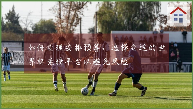 如何合理安排预算，选择合适的世界杯竞猜平台以避免风险