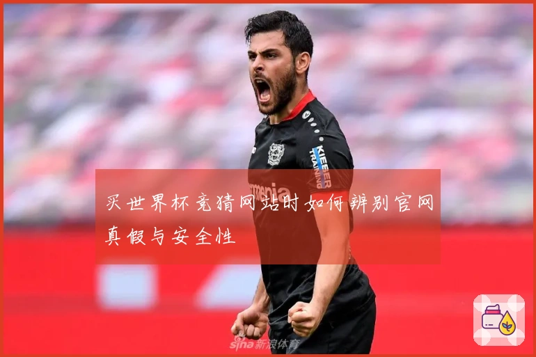 买世界杯竞猜网站时如何辨别官网真假与安全性
