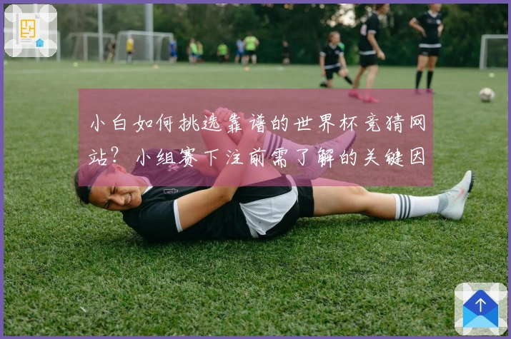 小白如何挑选靠谱的世界杯竞猜网站?小组赛下注前需了解的关键因素
